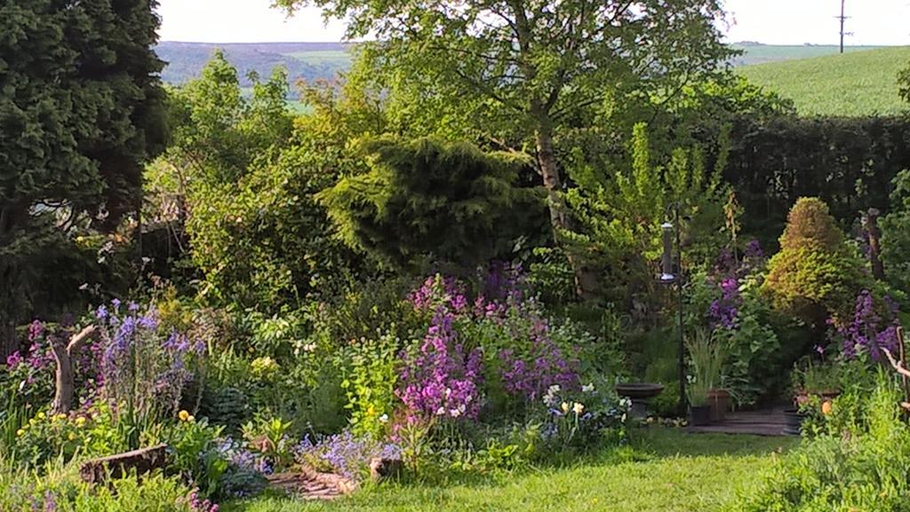 روبن هودز باي Thorpe Green House Vegetarian Bed & Breakfast المظهر الخارجي الصورة
