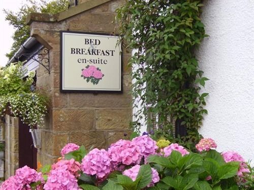 روبن هودز باي Thorpe Green House Vegetarian Bed & Breakfast المظهر الخارجي الصورة