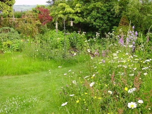 روبن هودز باي Thorpe Green House Vegetarian Bed & Breakfast المظهر الخارجي الصورة